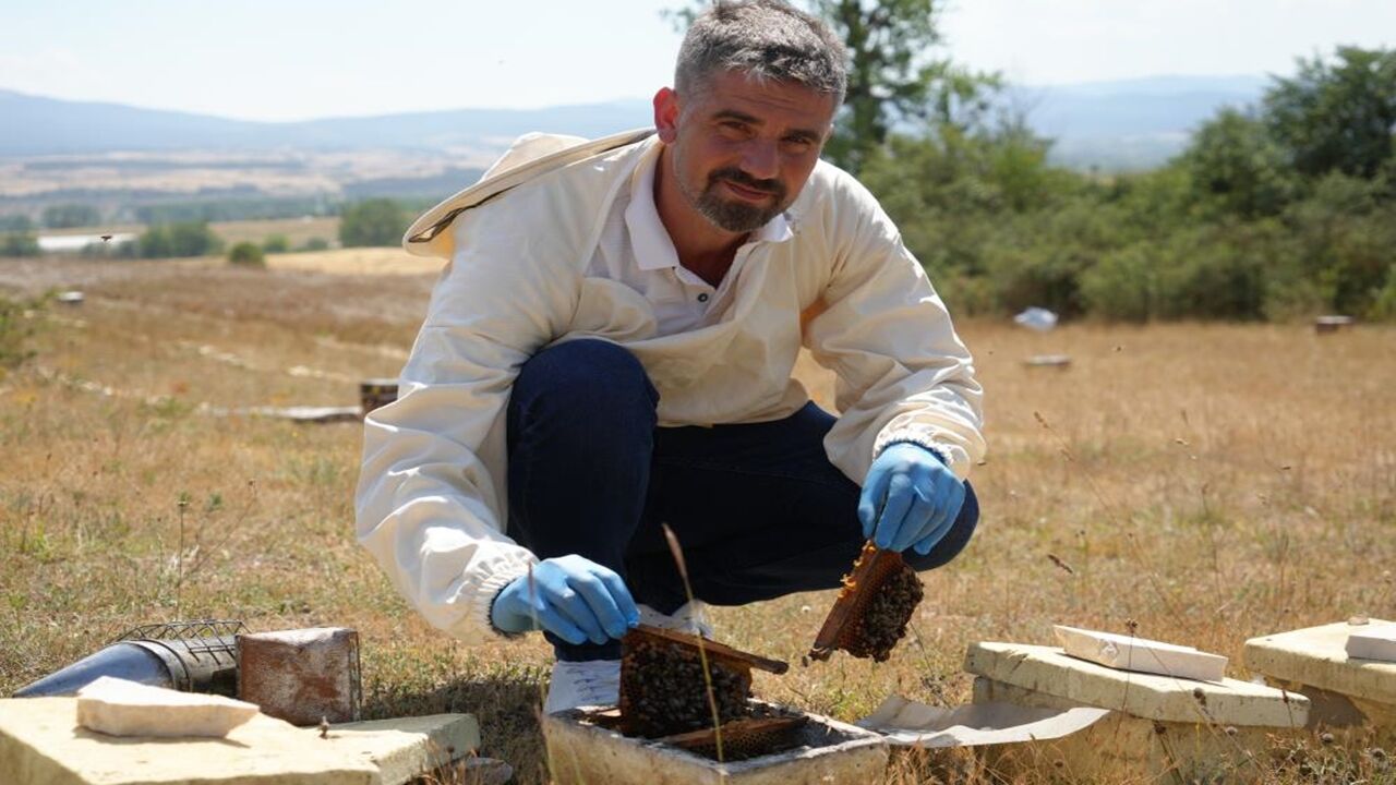 Bal Üretimi Bahar Yağışı (5)