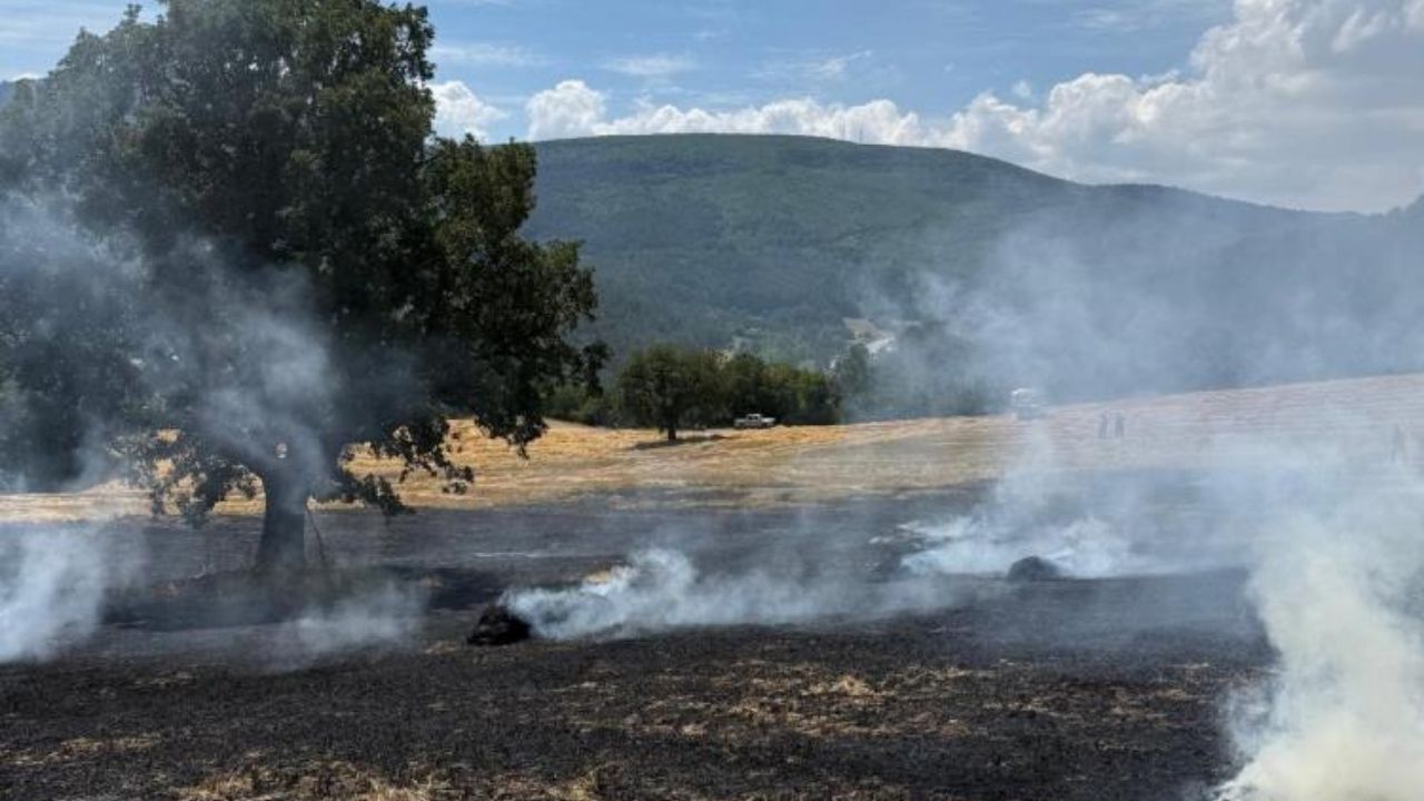Balya Makinesinden Çıkan Kıvılcım Tarlayı Yaktı (2)