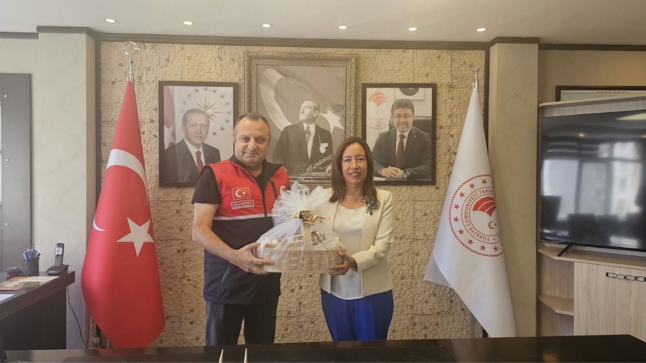 Birleşmiş Milletler Türkiye Temsilcisi Taşköprü’deki Yatırımı Inceledi (3)