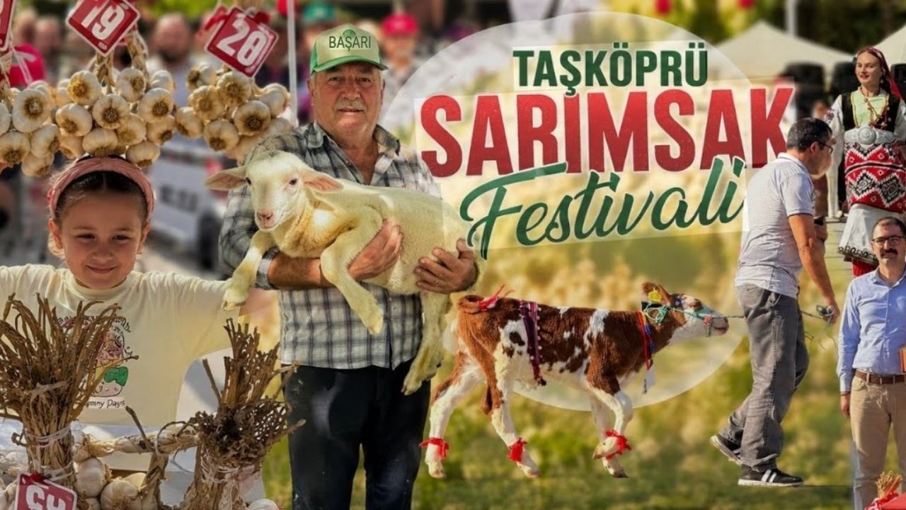 Bizim Sarımsak (4)