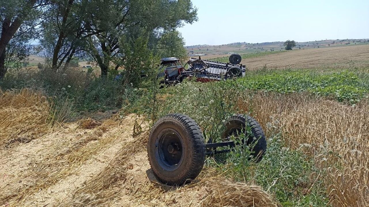 Bugday Yüklü Traktör (1)