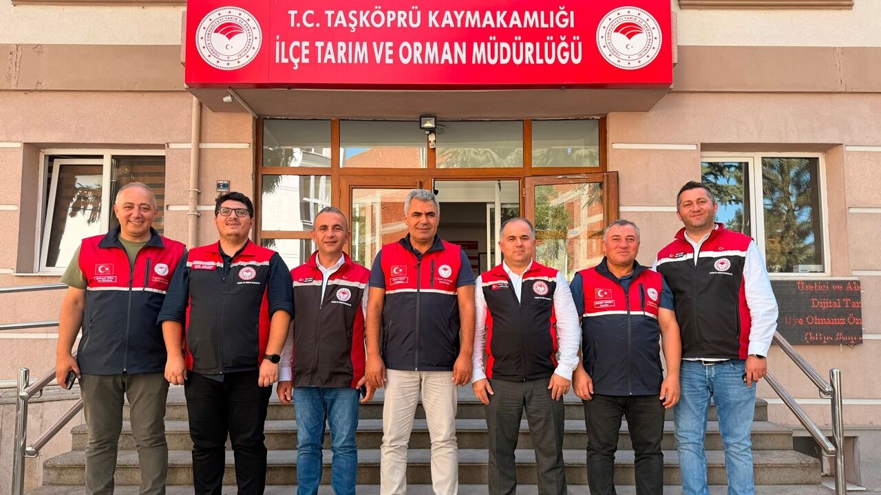 Çorum Taşköprü (3)