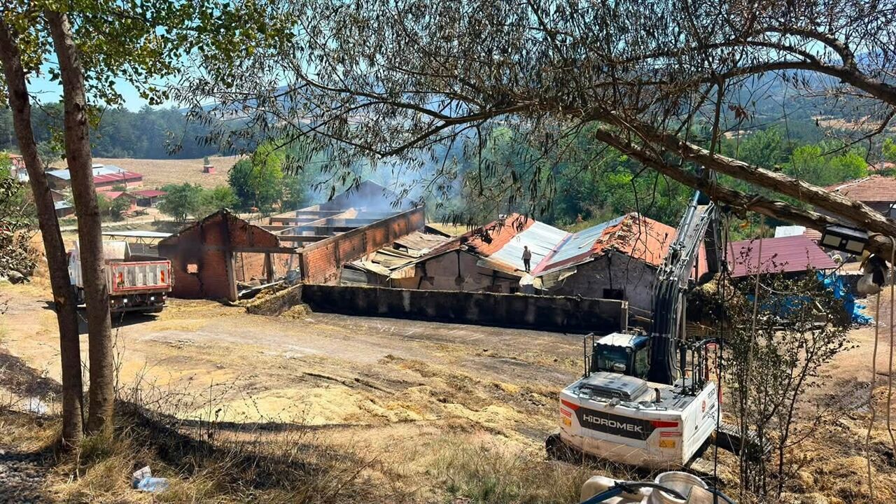 Ihsangazi Ak Parti Yangın Bölgesinde (7)