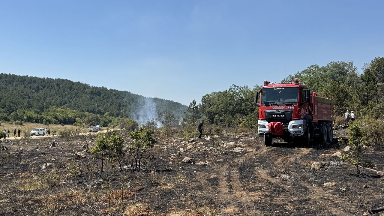 Karabük Orman Yangını (1)-3