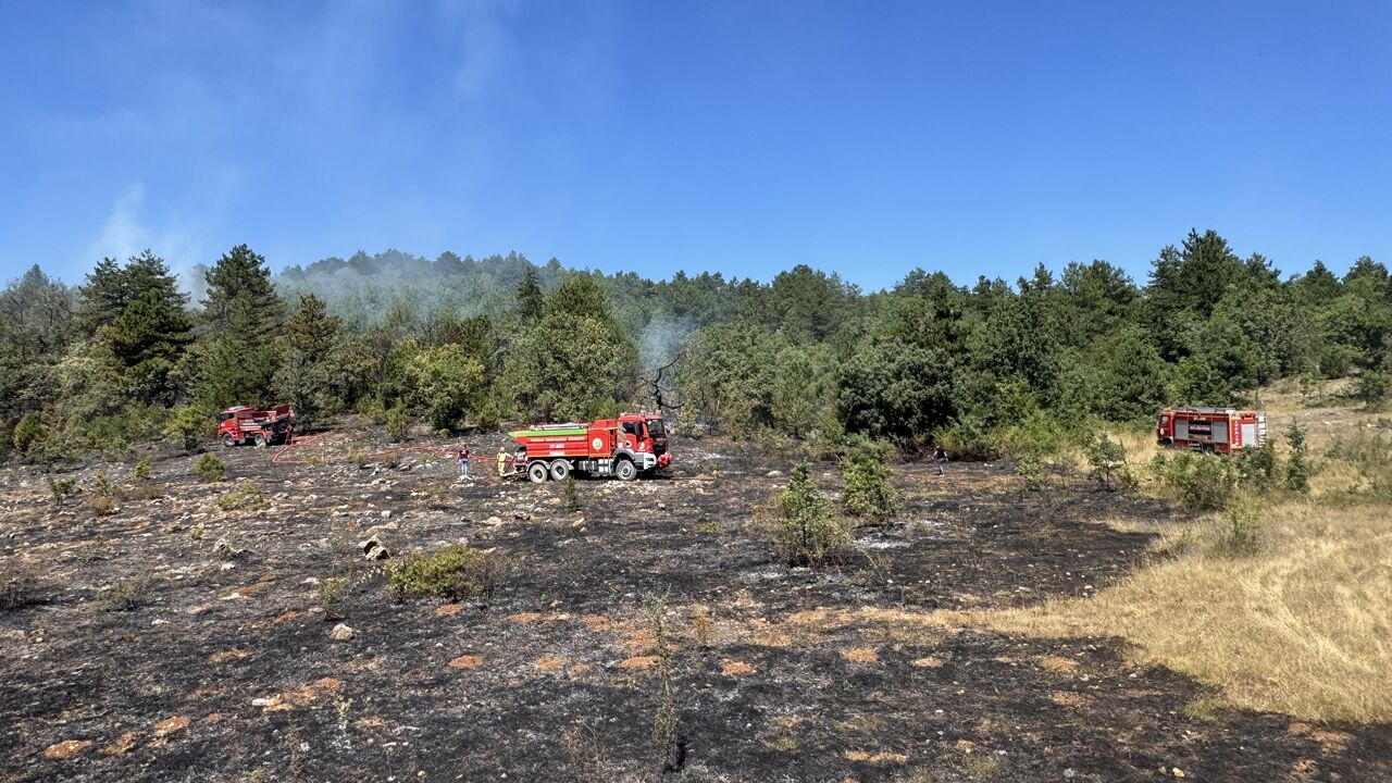Karabük Orman Yangını (2)-2