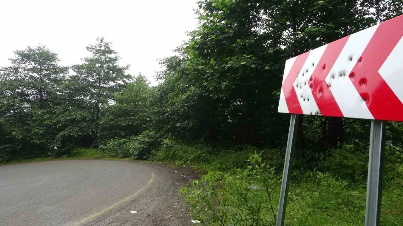 Karadeniz'de Akılalmaz Olay! Trafik Tabelaları Hedef Tahtasına Döndü 1