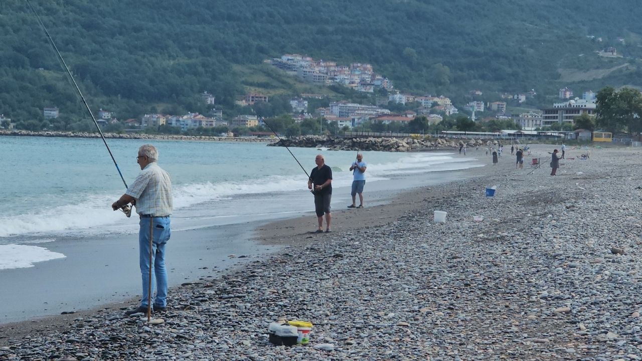 Karadeniz’de Balık Bereketi Cide’de Kovalar Istavritle Doldu (2)