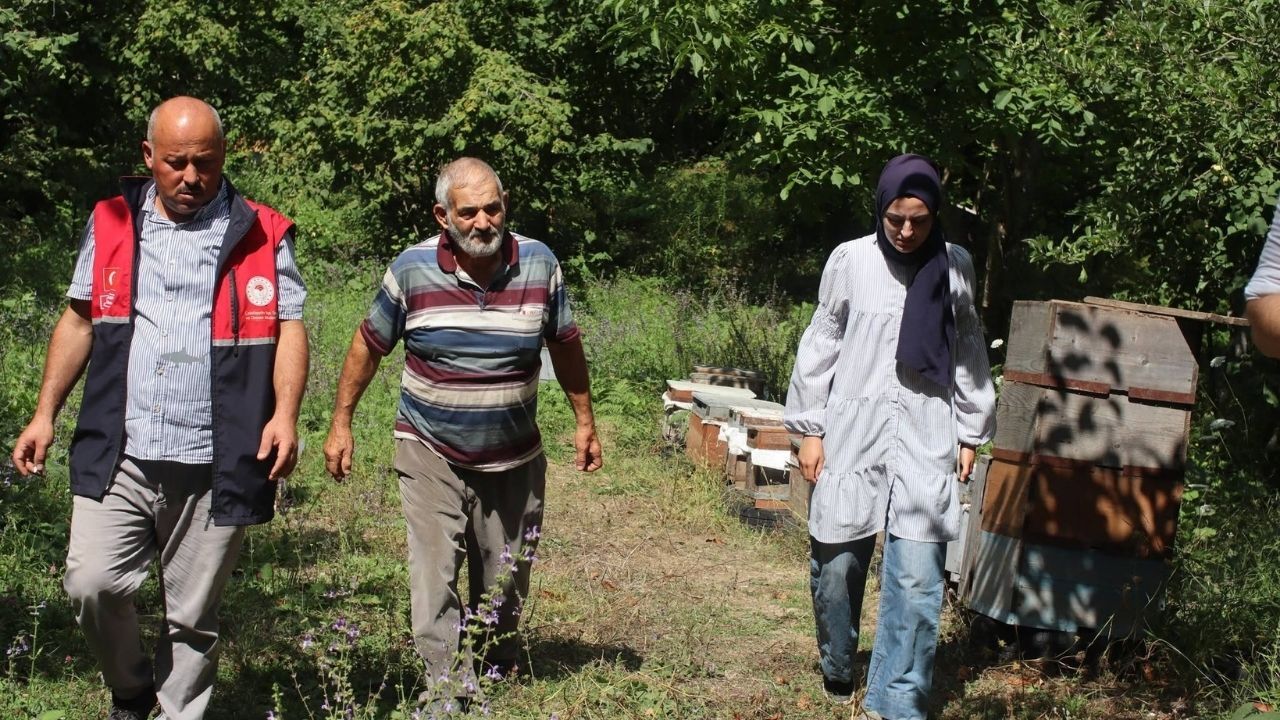Kastamonu Arıcı (2)
