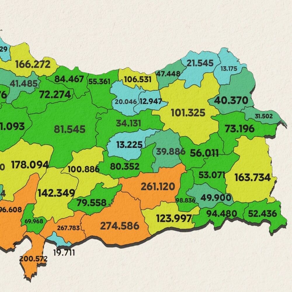 Kastamonu Bekar Erkekler (3)