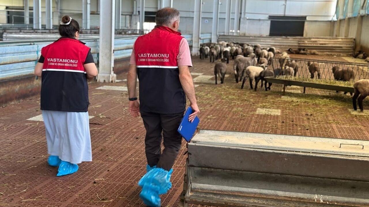 Kastamonu Hayvancılık Denetim (3)