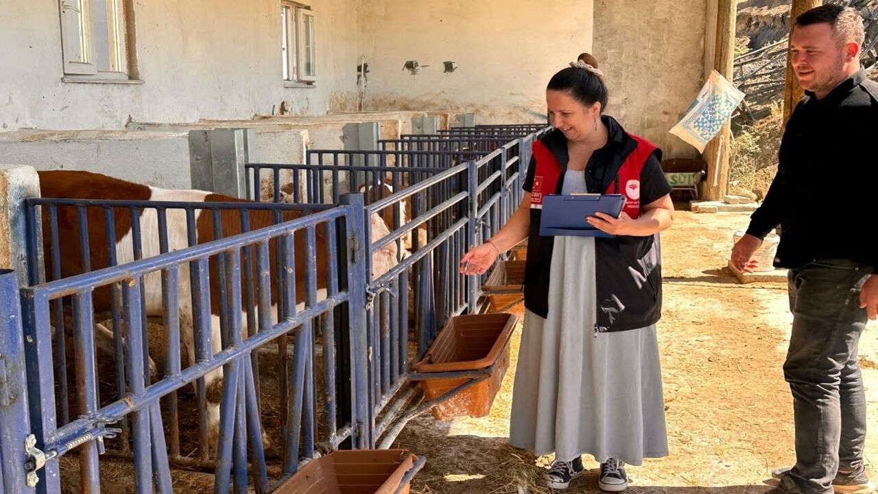 Kastamonu Hayvancılık Denetim (4)