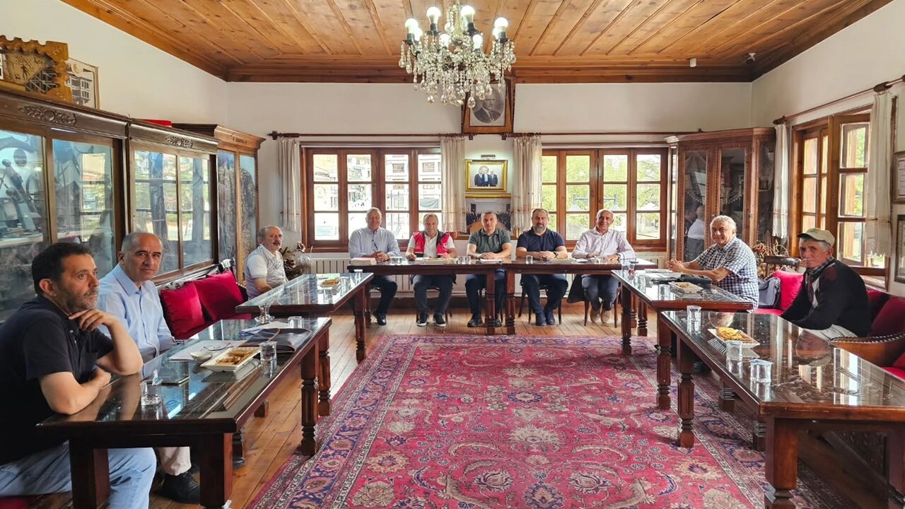 Kastamonu Üryani Eriği (3)