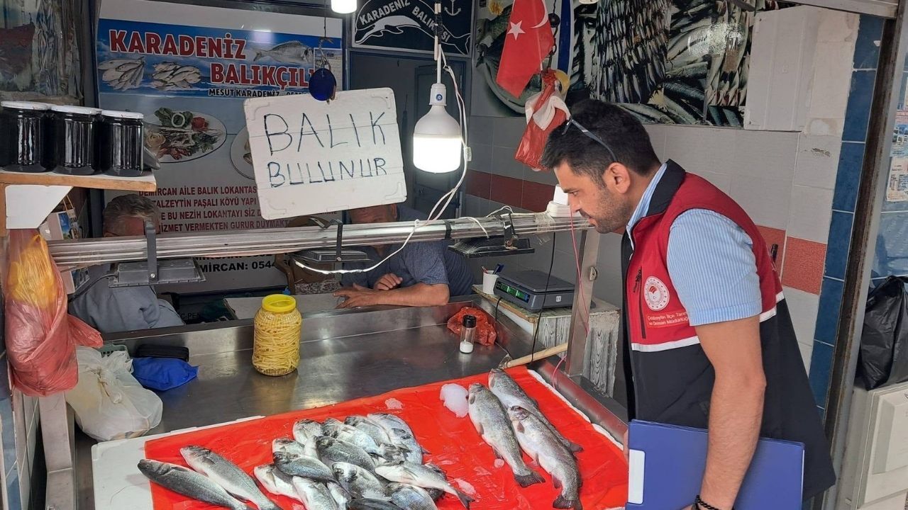Kastamonu'da Balıkçılar Denetlendi, Ağlar Ve Belgeler Kontrol Edildi (3)