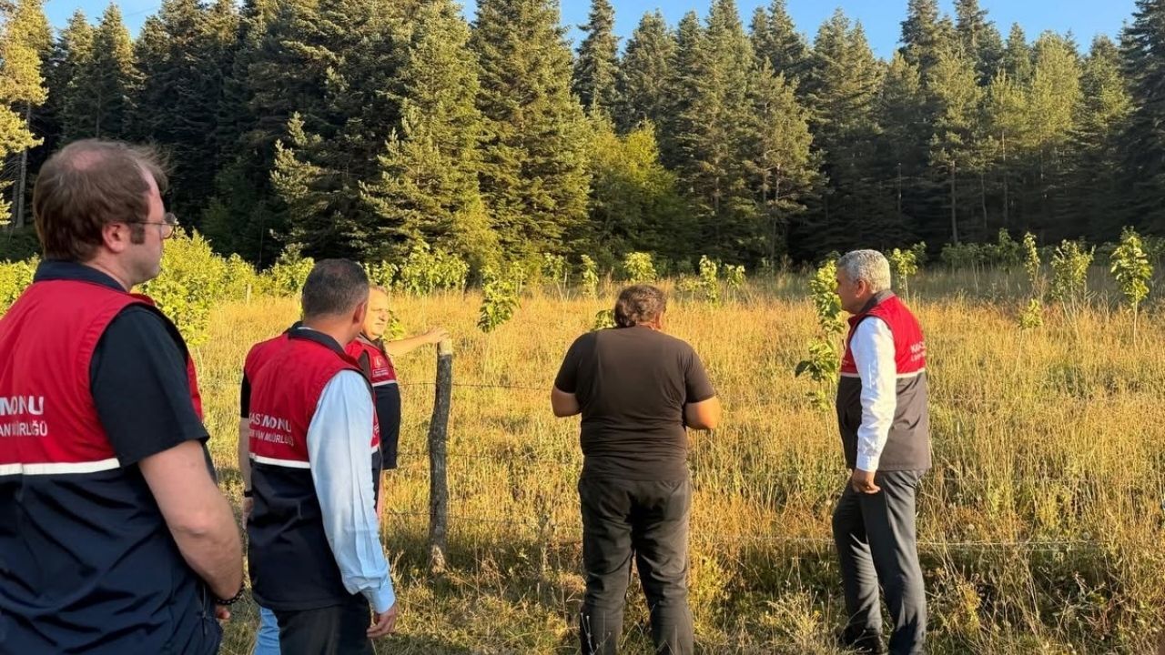 Kastamonu’da Ipek Böcekçiliği Için Yeni Üretim Alanı (3)