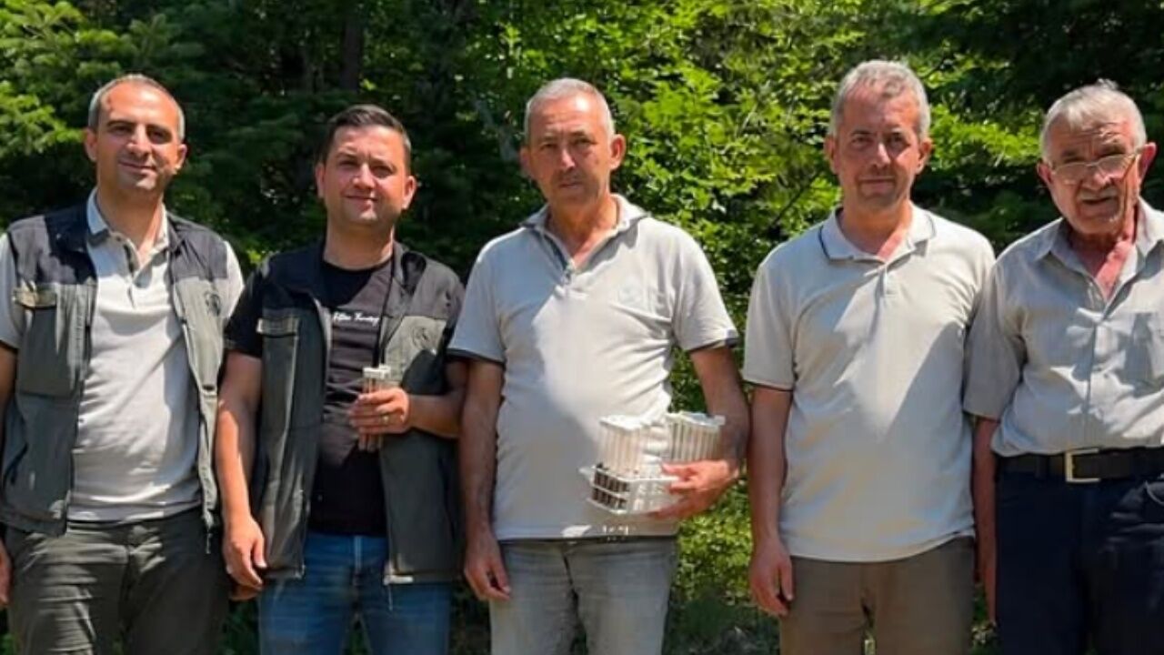 Kastamonu’da Orman Zararlılarına Karşı Biyolojik Savaş! Terminatör Böcekler Devrede 1