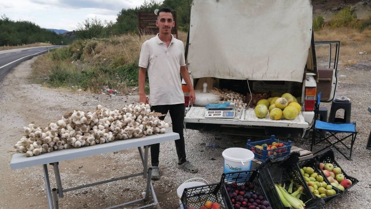 Kastamonu’da Üniversite Harçlığını Topraktan Çıkarıyor (2)