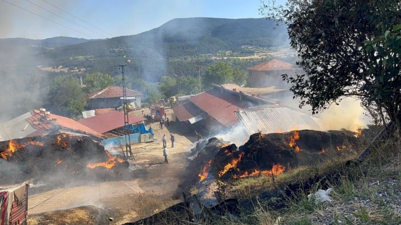 Kastamonu’daki Yangının Ilk Bilançosu 14 Büyükbaş Hayvan Telef Oldu (2)