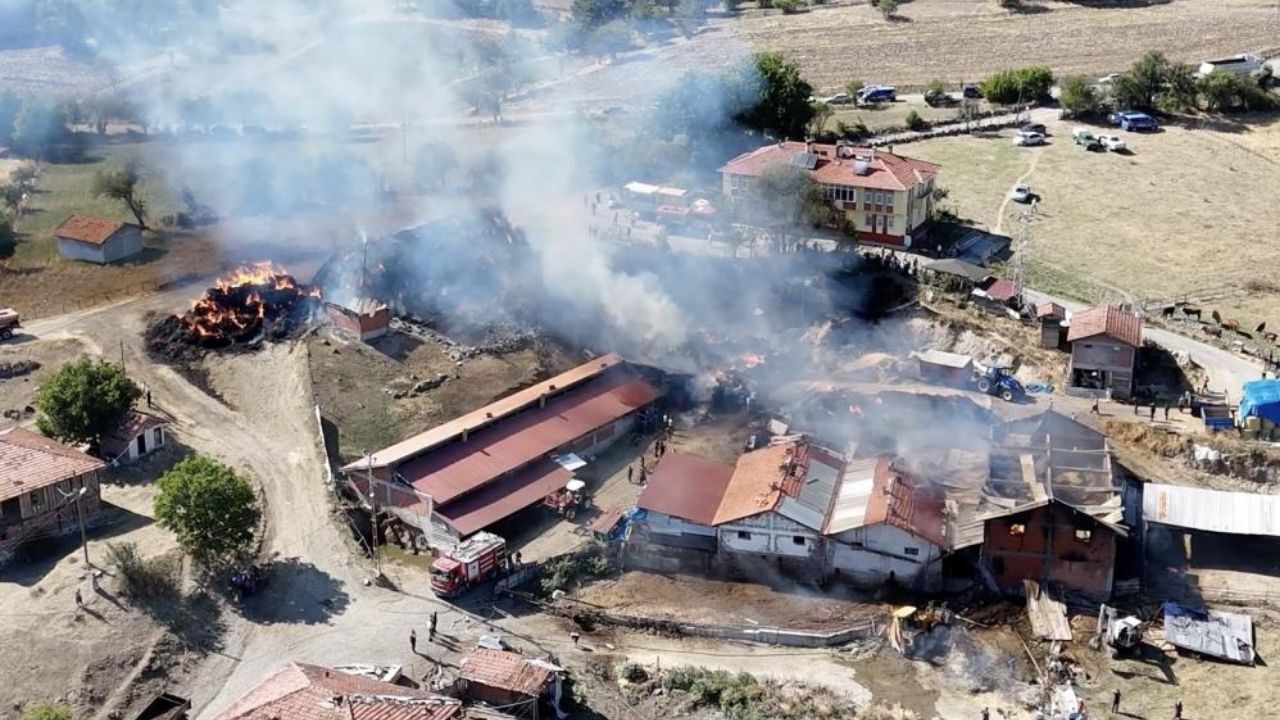 Kastamonu’daki Yangının Ilk Bilançosu 14 Büyükbaş Hayvan Telef Oldu (3)