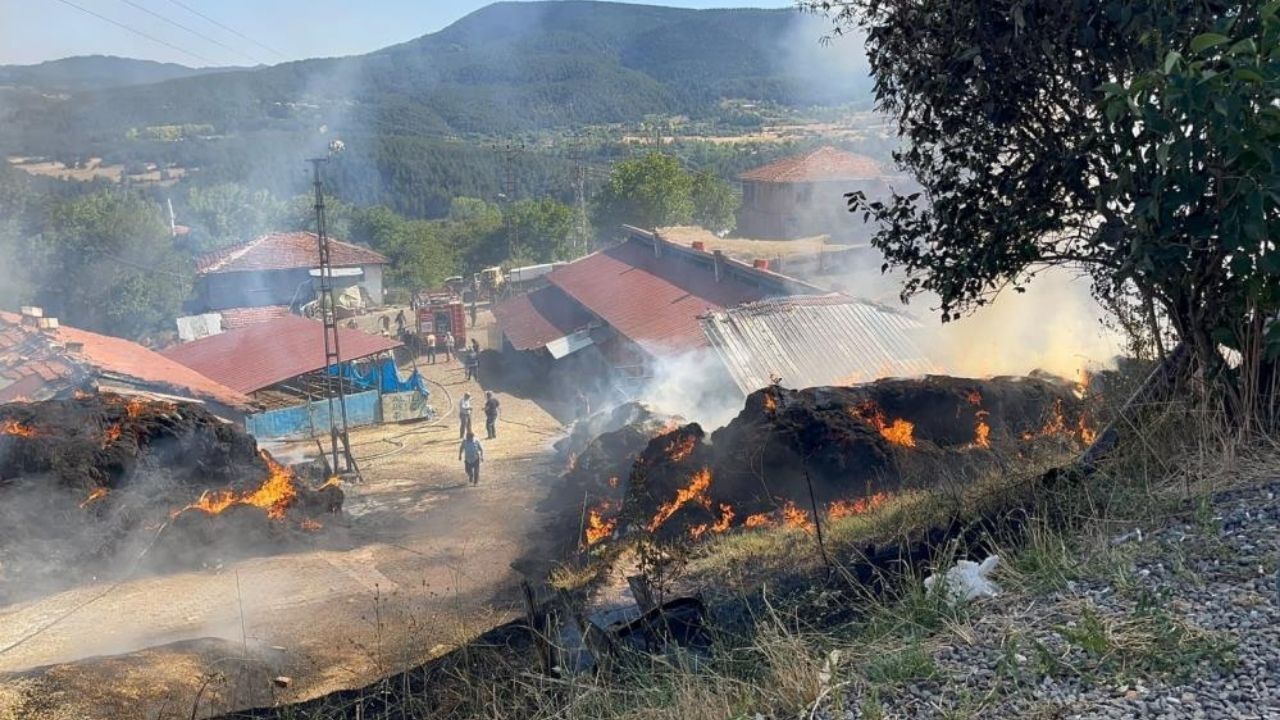 Kastamonu’daki Yangının Ilk Bilançosu 14 Büyükbaş Hayvan Telef Oldu (4)