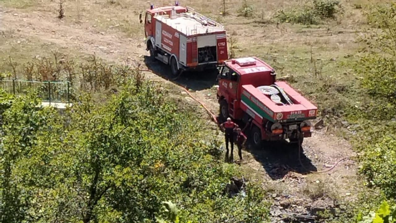 Kastamonu’nun Ilçesinde Ormanlık Alan Yandı Ekipler Seferber Oldu (4)