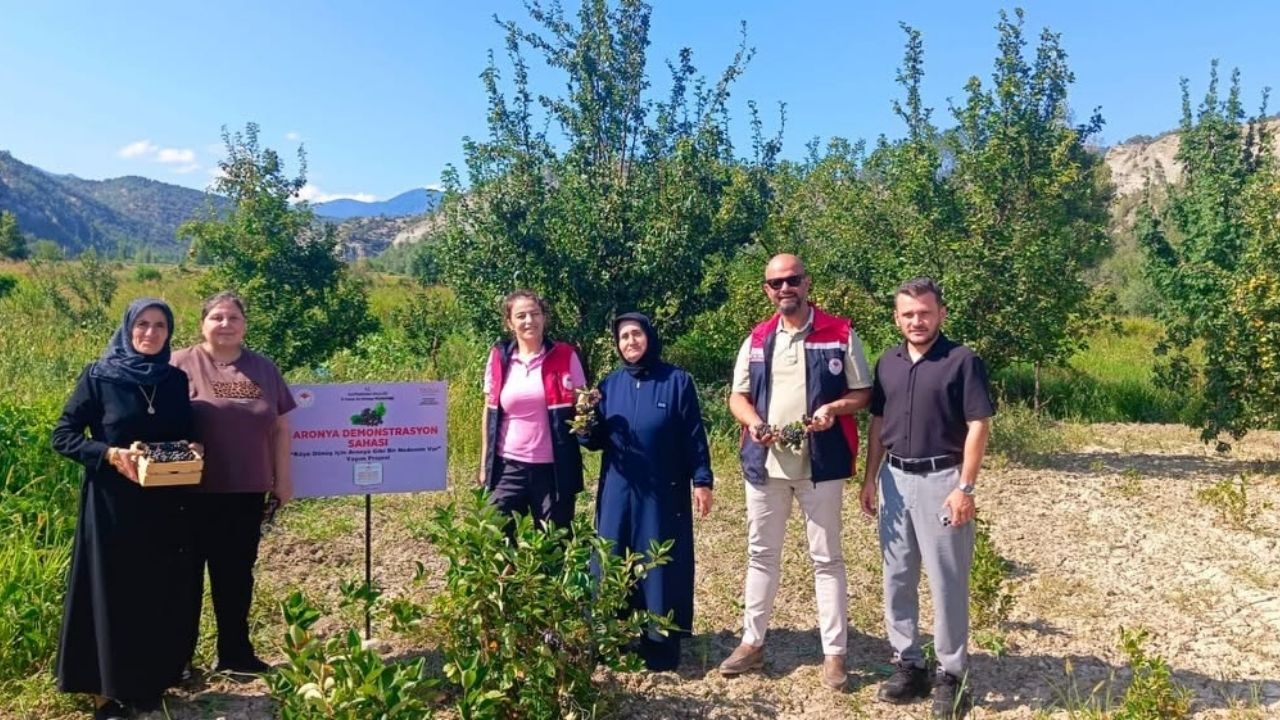 Kastamonu’nun Yeni Gelir Kapısı Oldu (1)