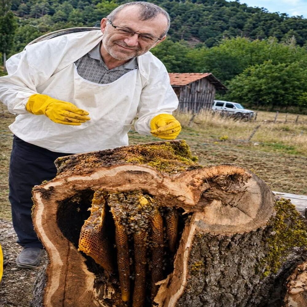 Kütükte 8 Kilo Bal 3