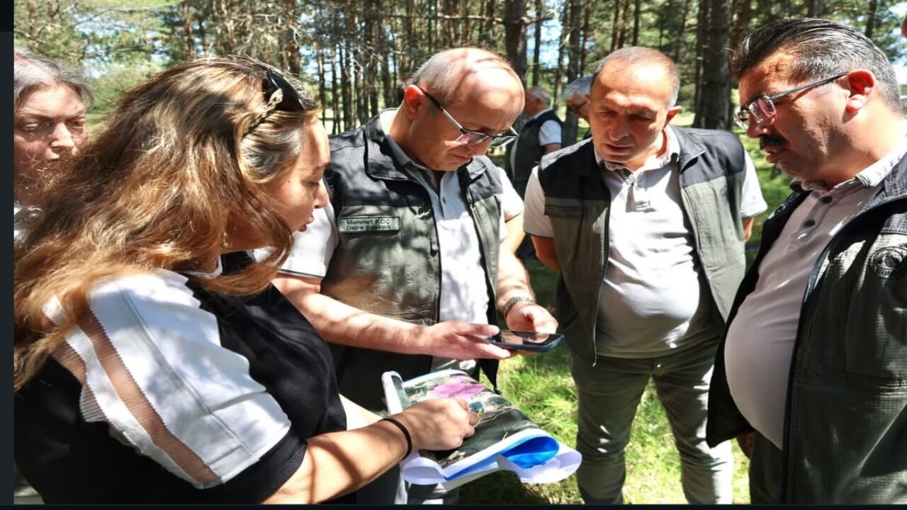Orman Okulu Projesi Için Kastamonu'da Kapsamlı Inceleme 1