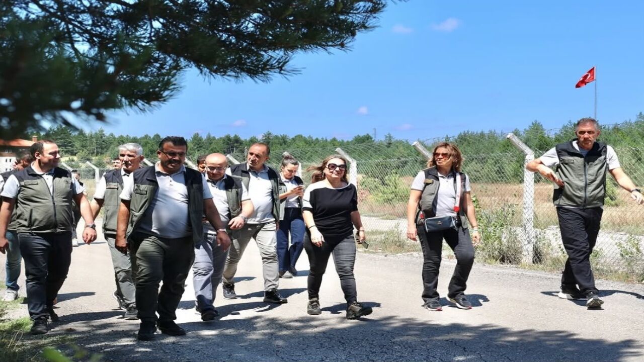 Orman Okulu Projesi Için Kastamonu'da Kapsamlı Inceleme 2