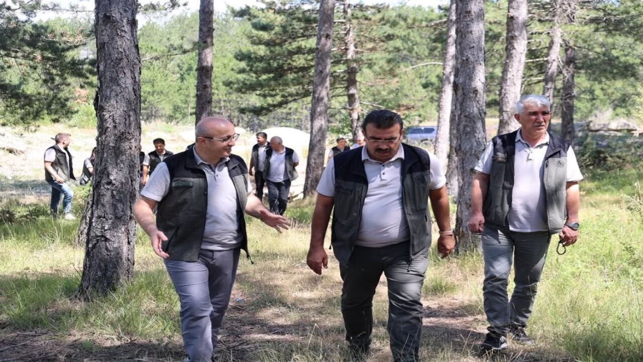 Orman Okulu Projesi Için Kastamonu'da Kapsamlı Inceleme 3
