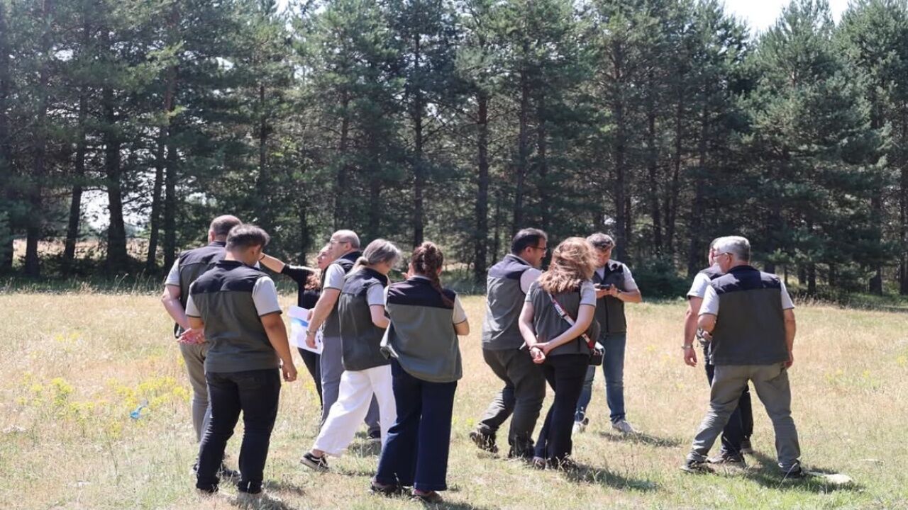 Orman Okulu Projesi Için Kastamonu'da Kapsamlı Inceleme