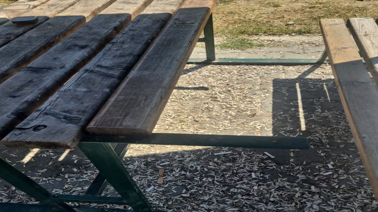 Parklardaki Görüntü Kirliliğine Tepki! Araç Belediyesi Vatandaşları Uyardı 2