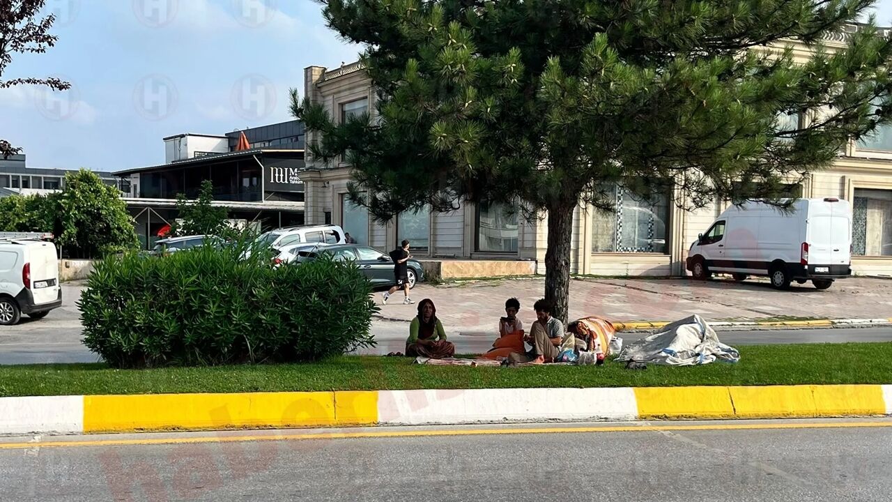 Sakarya Kastamonu 11