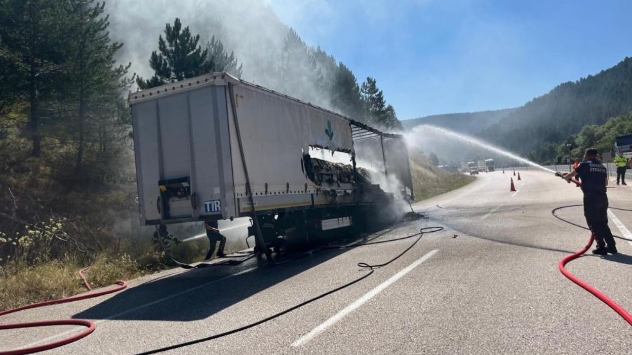 Şeker Yüklü Tır Alev Topuna Döndü Yangın Ormana Sıçradı (1)