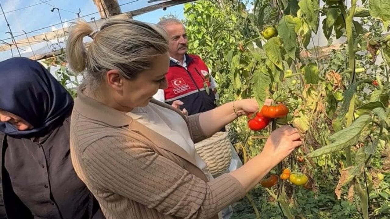Serap Ekmekci Inebolu Bahçe (4)