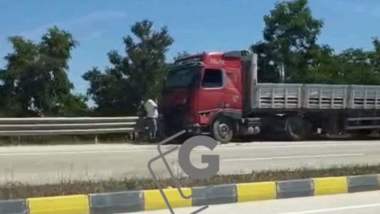 Seydiler'de Tir Ile Traktör Çarpıştı! 1 Kişi Yaralandı