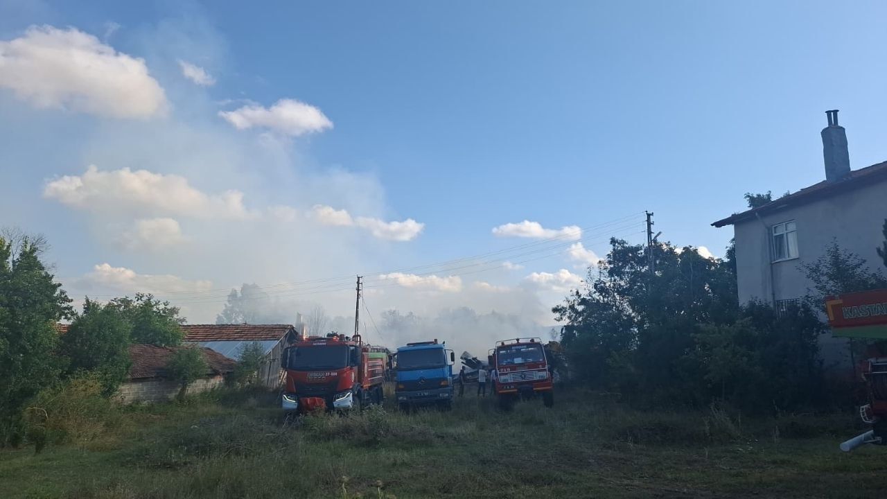 Seydiler’deki Yangından Ilk Görüntüler Geldi (2)