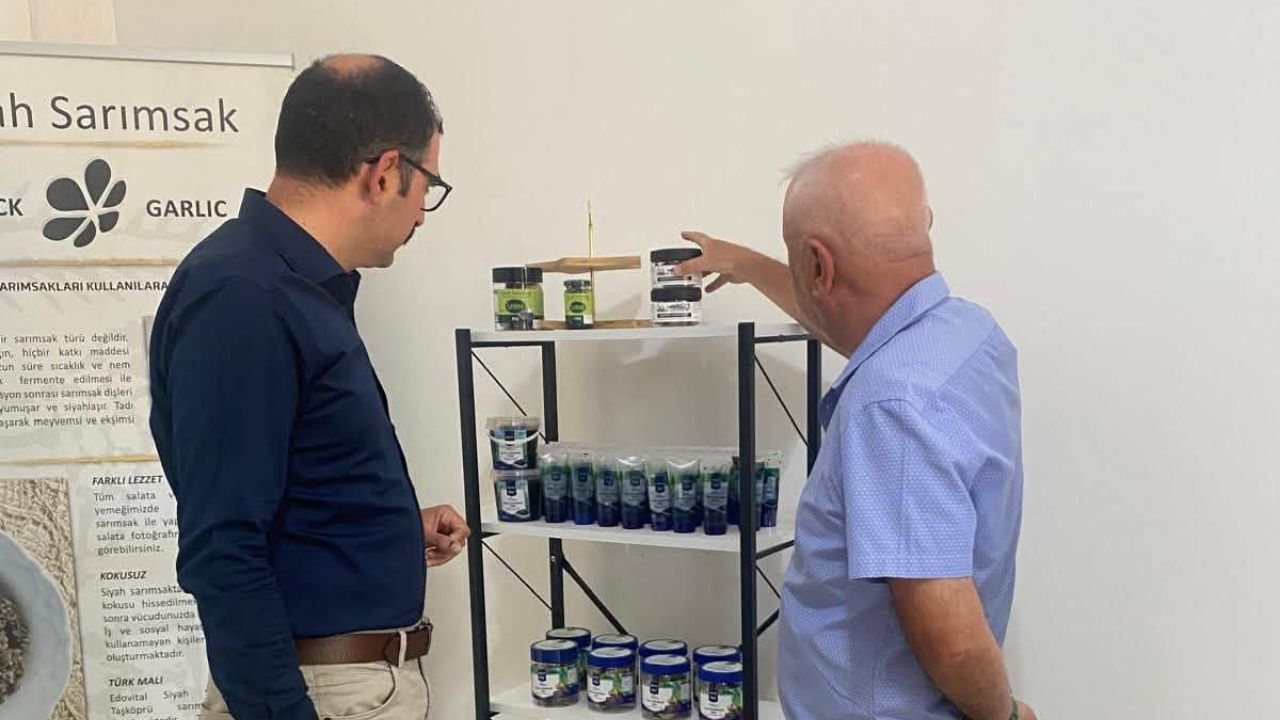 Taşköprü Kaymakamı Demirdağ’dan Sarımsak Işletmesine Ziyaret (4)