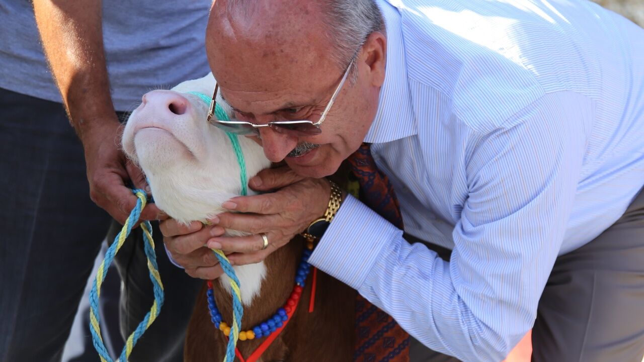 Taşköprü Sarımsağı Yarışması'nda Kazananlar Belli Oldu! 1