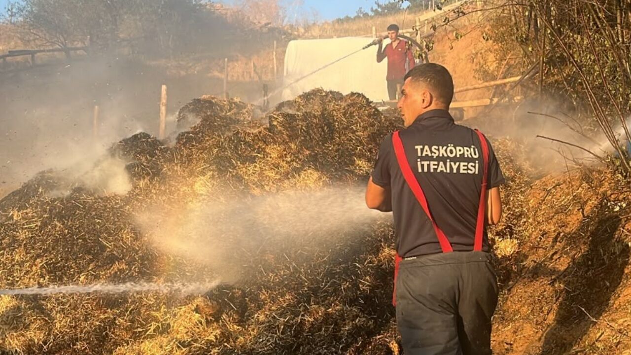Taşköprü'de Samanlıkta Yangın Paniği! Ekipler Zamanında Müdahale Etti