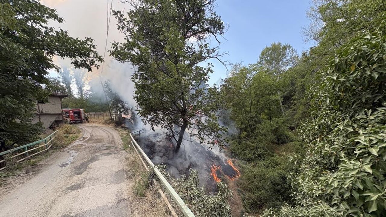 Tosya Da Yangın Alevler (3)