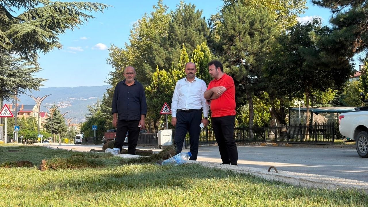 Tosya’nın Gözde Caddesine Modern Dokunuş (2)