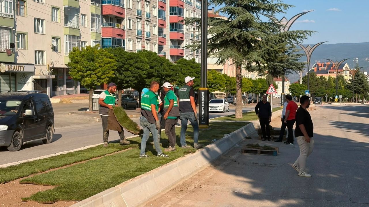 Tosya’nın Gözde Caddesine Modern Dokunuş (5)
