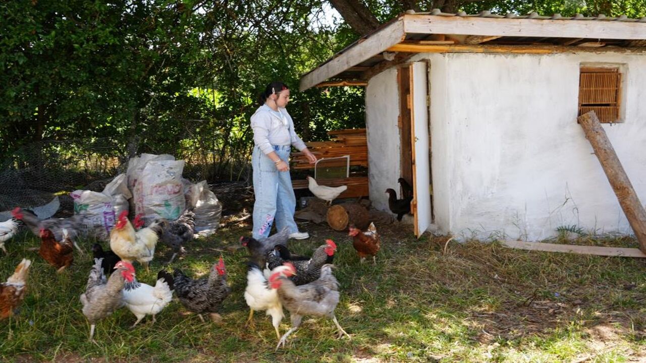 Turgut Ve Dilek Karasu Çifti (2)
