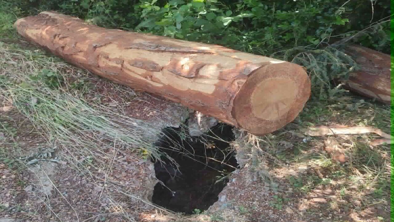 Yolu Patlattılar (2)