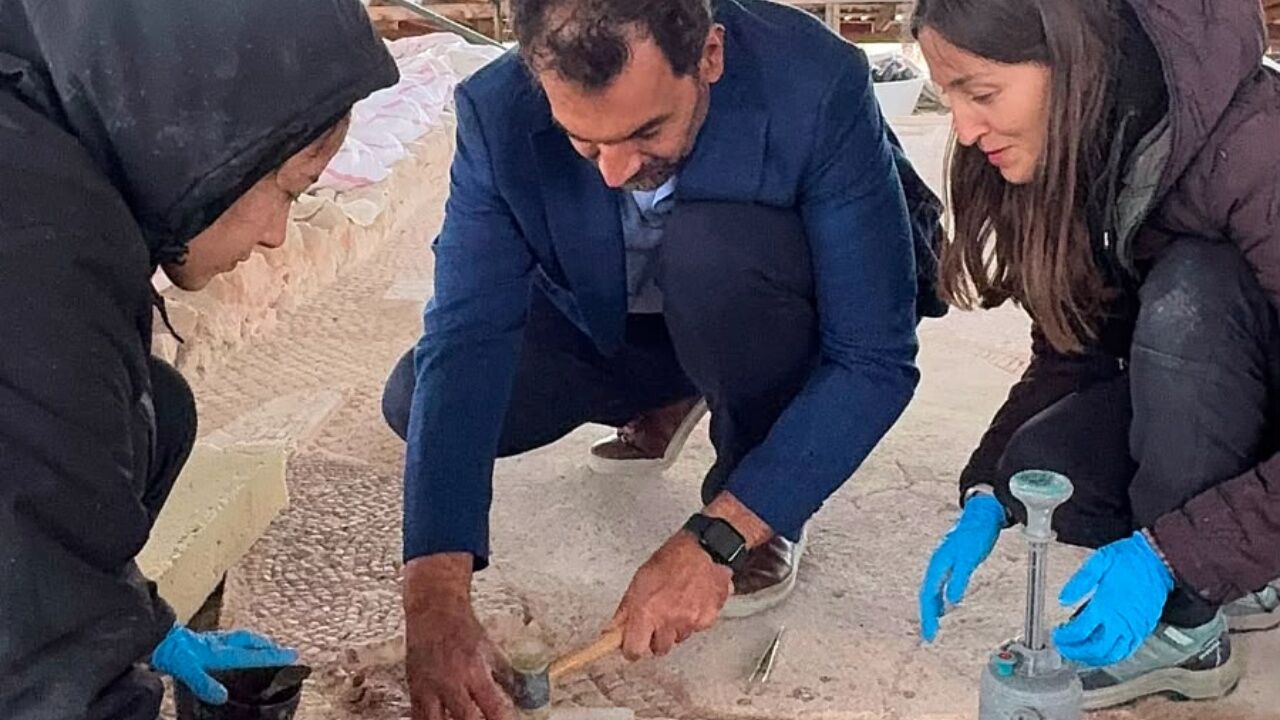 Acacia Maden Genel Müdürü Serdar Volkan, Pompeiopolis'te İncelemelerde Bulundu 2