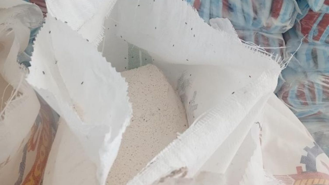 Böceklenmiş Unu Eleyip Satacaklardı Bartın’da 7,5 Tonuna El Konuldu (2)