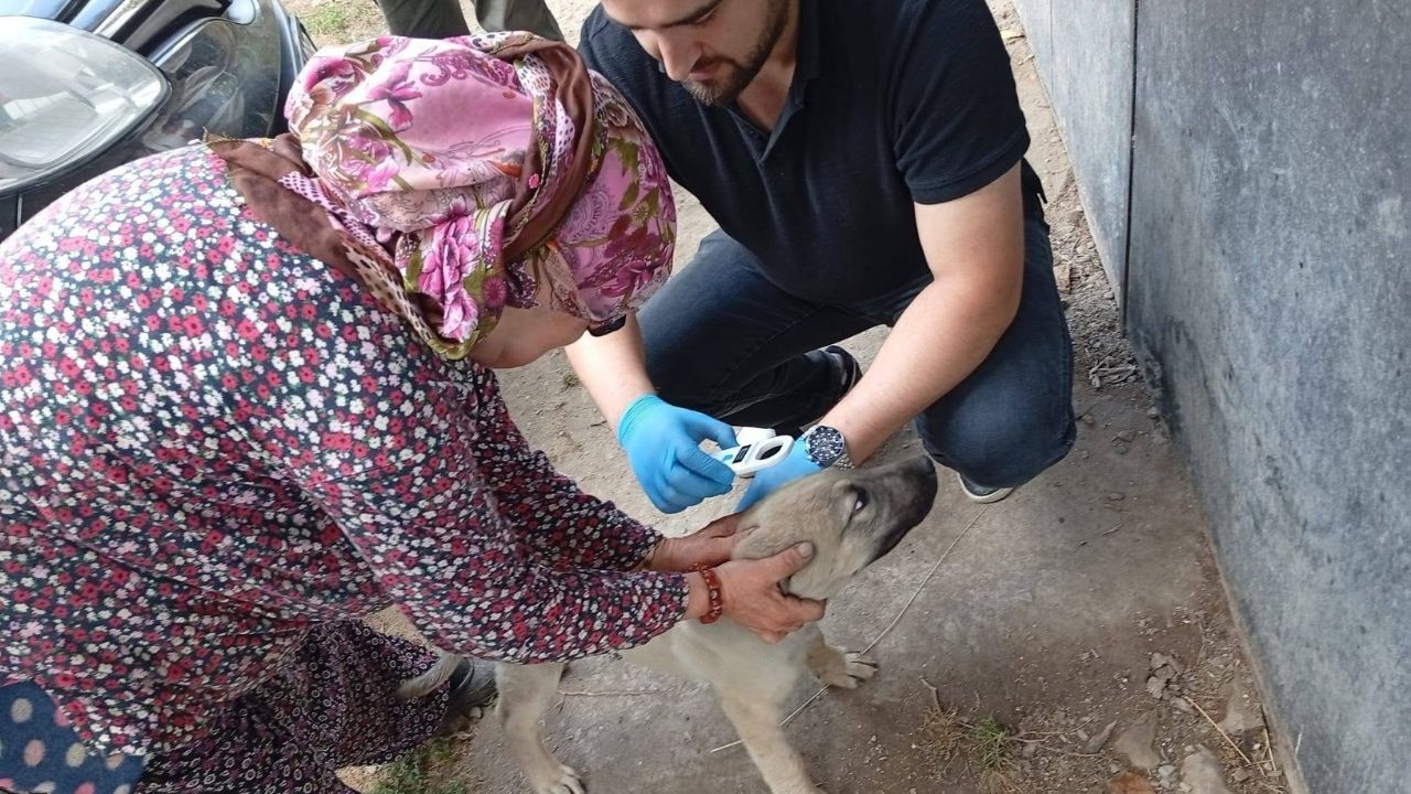 Çatalzeytin Mikroçip (1)
