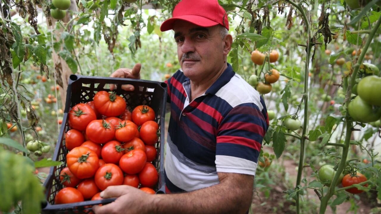 Devlet desteğiyle üretimini 7 kat artırdı: 100 bin TL kazandı