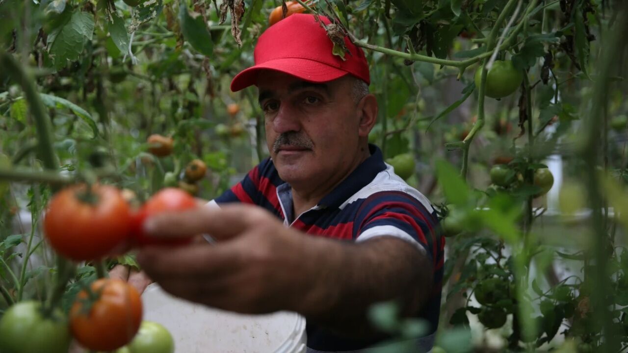 Devlet Desteğiyle Üretimini 7 Kat Artırdı 100 Bin Tl Kazandı