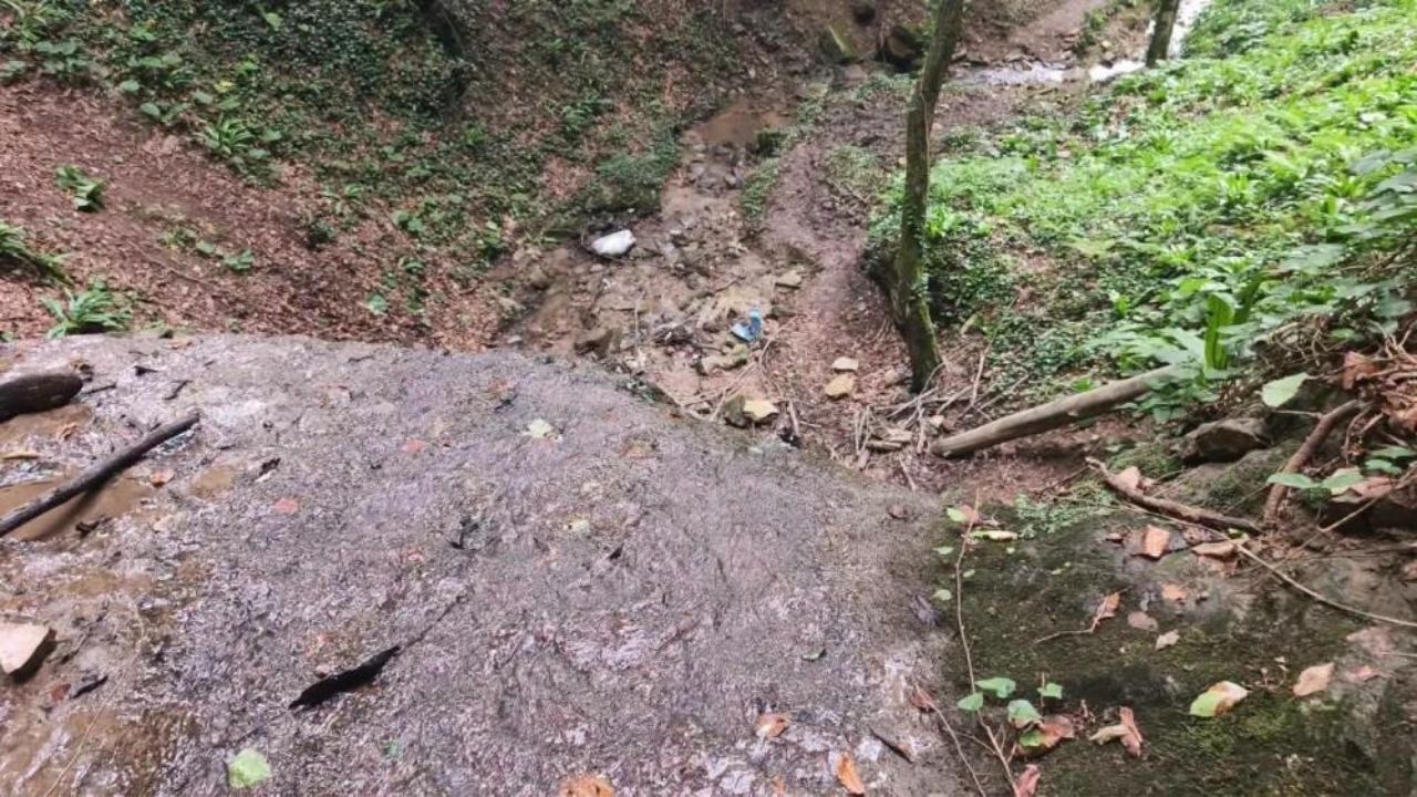 Fındık Bahçesinde Acı Olay Uçuruma Düşerek Hayatını Kaybetti (2)